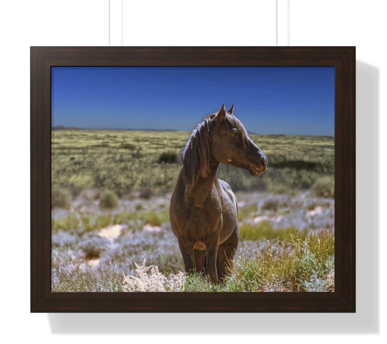 arizona horse photo in a field with oak frame